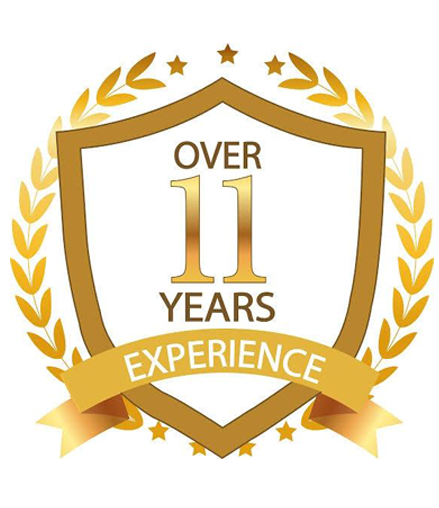 11 Years of Experience